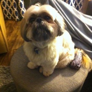 Meet your Posher, Mine (mom)